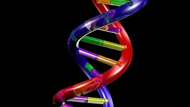 Parkinson hastalığına neden olan gen bulundu