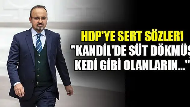 Bülent Turan'dan HDP'ye sert sözler! 'Kandil'de süt dökmüş kedi gibi olanların...'
