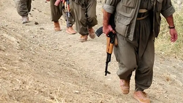 8 PKK'lı teslim oldu