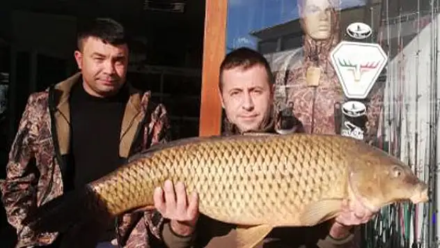 Konya'da 15 kiloluk sazan yakalandı