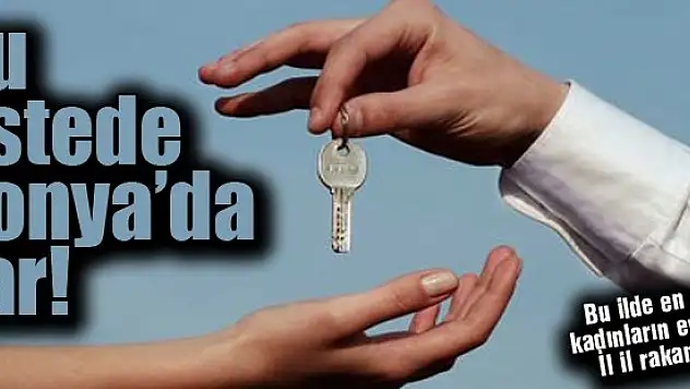 Bu ilde en çok kadınların evi var: İl il rakamlar