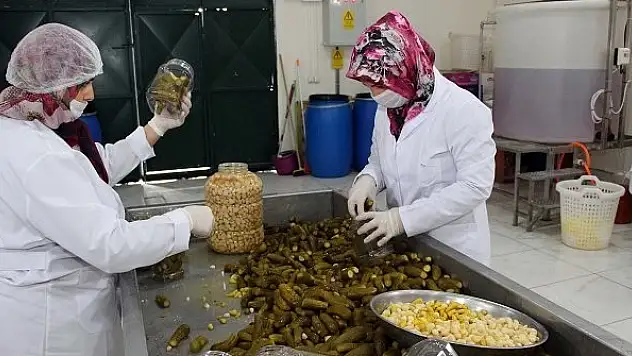 KOP desteği ile yöresel ürünler markalaşıyor