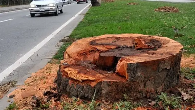 Yalova CHP'yi karıştırdı