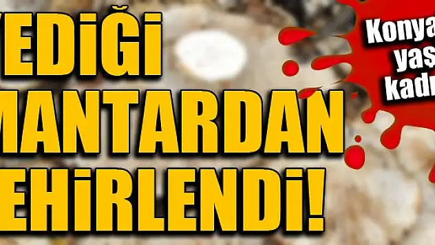 Yine mantar yine Konya!..