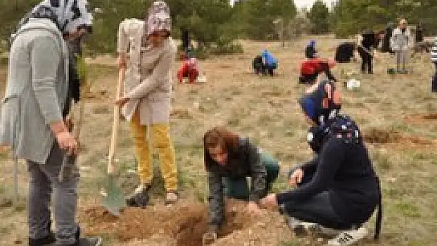 Meram'da kursiyerler fidan dikti