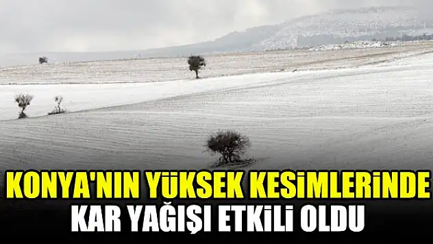 Konya'nın yüksek kesimlerinde kar yağışı etkili oldu