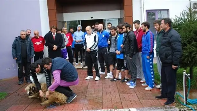 İyi sonuç almak için kurban kestiler