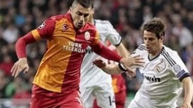 Aslan turu zora soktu