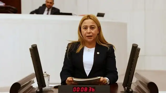 Esin Kara'dan veterinerler için soru önergesi