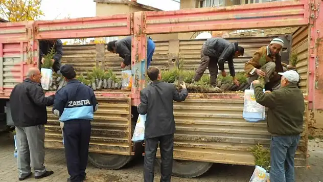 Konya'nın üç ilçesinde 30 bin fidan toprakla buluştu