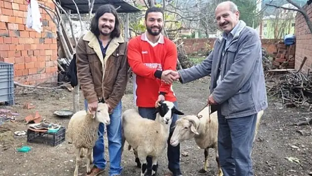 Üç koyun karşılığı transfer!