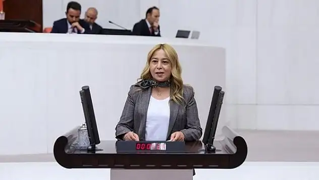 Kara, okullardaki ölümleri meclis gündemine taşıdı