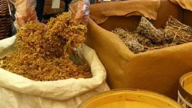 Alternatif tıp eğitimi için tavan ücret belirlendi