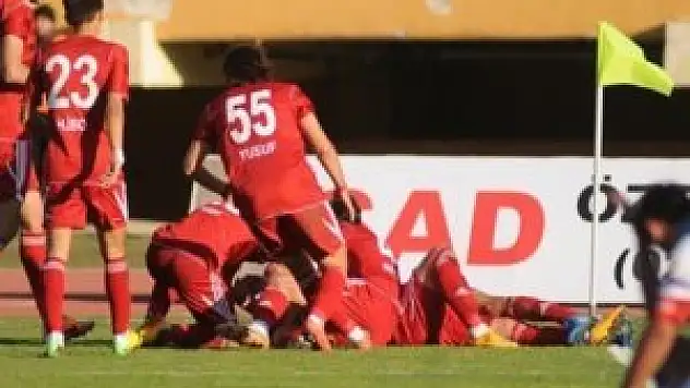 Orduların mücadelesini Altınordu kazandı