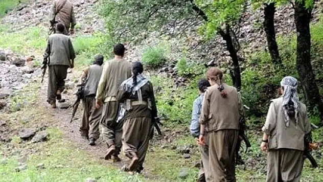 Mardin'de bir terörist teslim oldu