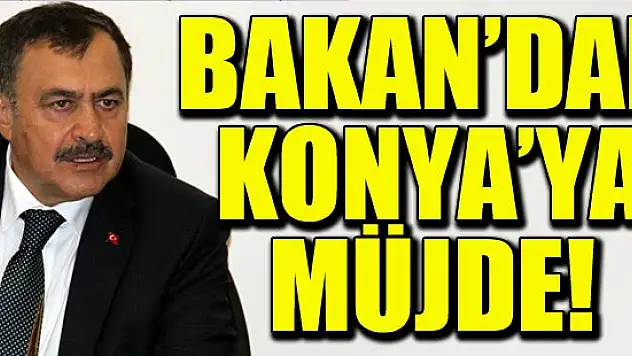 Bakan'dan Konya'ya müjde!