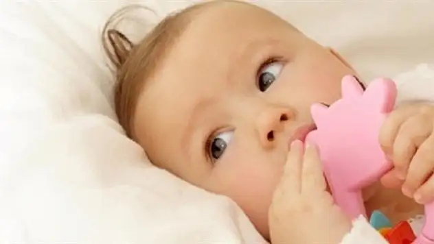 Kaşınan dişlere yeşil soğan!