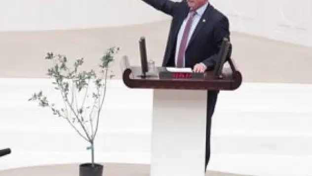 CHP'li vekil kürsüye fidanla çıktı