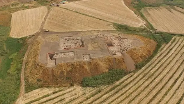 ABD'nin 7 eyaletinde 9 maymun çiçeği vakasına rastlandı