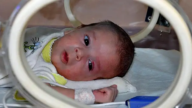 Lokman bebek inadına 'yaşam' dedi