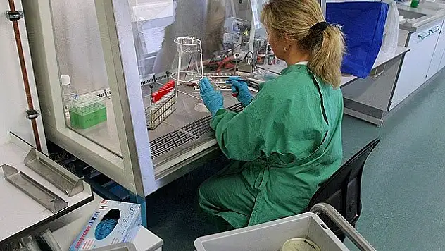 2014 önemli teknolojik buluşlara sahne oldu