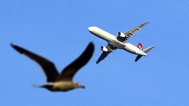 Atatürk Havalimanı'na kuş giremeyecek