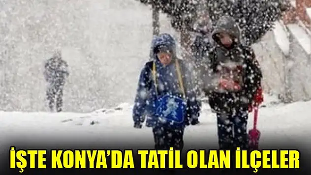 Konya'da bazı ilçelerde okullar tatil edildi