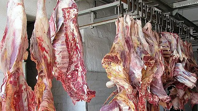 Mersin'de 21 bin 360 kilogram kaçak et ele geçirildi