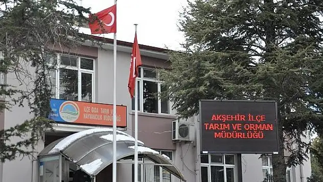 Akşehir'de köpek dövüşü yaptıranlara 257 bin lira ceza kesildi