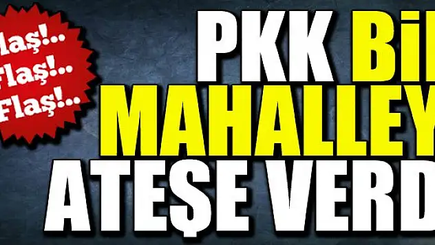 PKK Cizre'de bir mahalleyi ateşe verdi