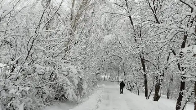 Denizli'de okulların tamamı tatil edildi