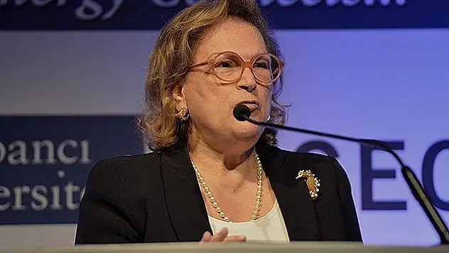 Güler Sabancı'dan 2015 öngörüleri