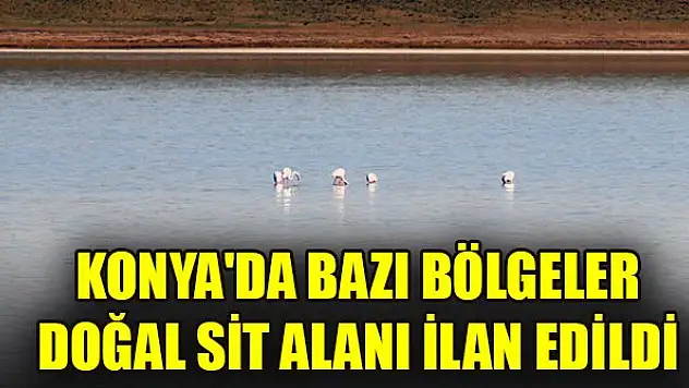 Konya'da bazı bölgeler doğal sit alanı ilan edildi