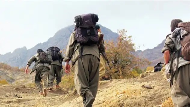 Şırnak'ta 8 terörist teslim oldu