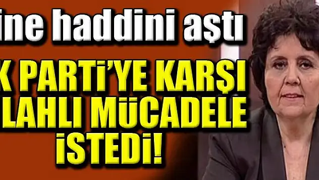Ayşenur Arslan silahlı mücadele isteyip çizmeyi aştı