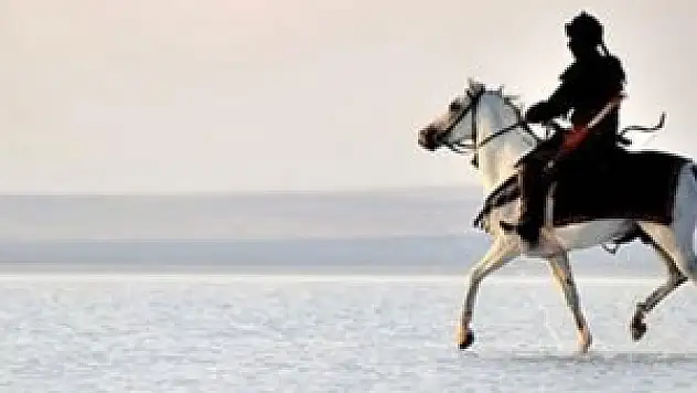 Uzman tarihçiler Diriliş'i yorumladı