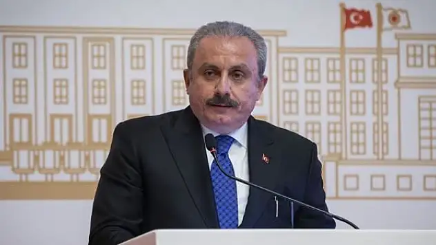 Şentop: Almanya'da ırkçı eylemlerin geliştiğini endişeyle takip ediyoruz