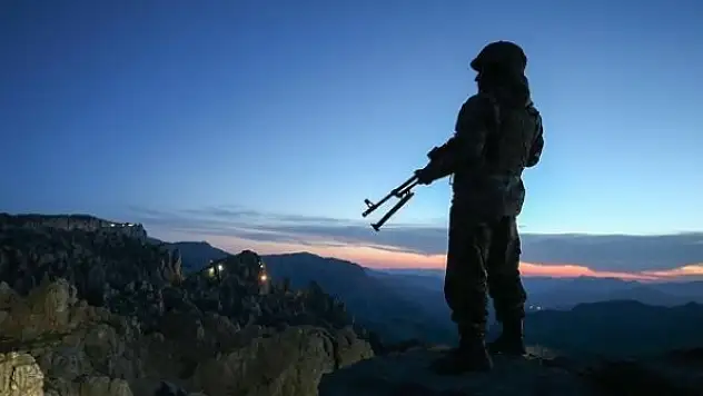 Çelik: 'TSK üzerine düşeni yerine getirecektir'