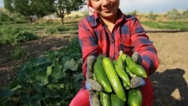 2014'ün zam şampiyonu