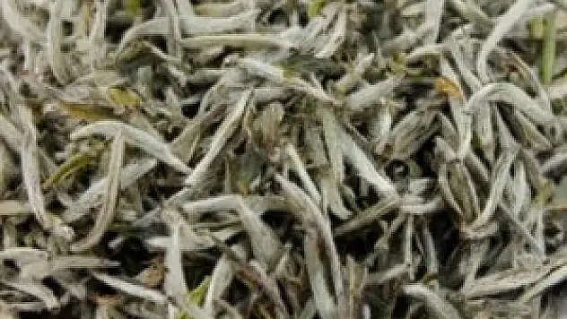Beyaz çay 'yok' satıyor