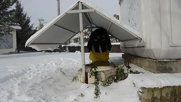 Meram'dan kuşlara yem