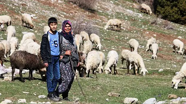 Oğlu ile koyun sürüsü otlatarak ailesinin geçimini sağlıyor