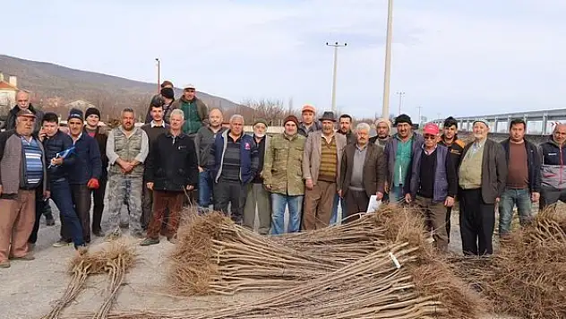 Büyükşehirden çiftçiye fidan ve fide desteği