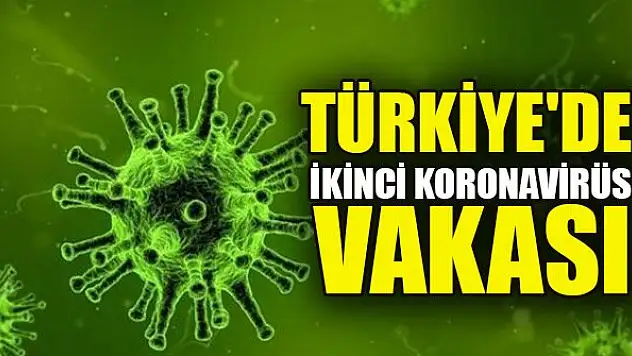 Türkiye'de ikinci koronavirüs vakası