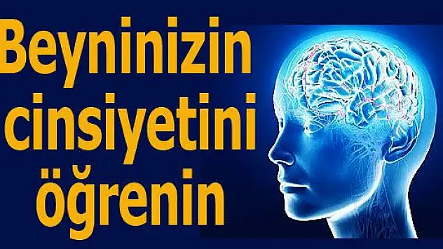 Beynin de cinsiyeti var