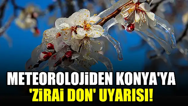 Meteorolojiden Konya'ya 'zirai don' uyarısı!