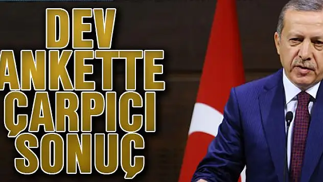 Dev ankette çok çarpıcı sonuç