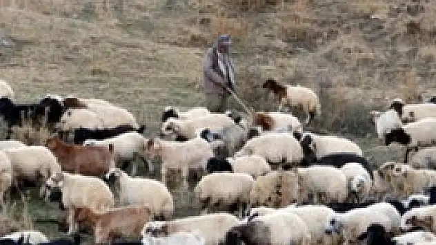 Çözüm süreci besicileri umutlandırdı