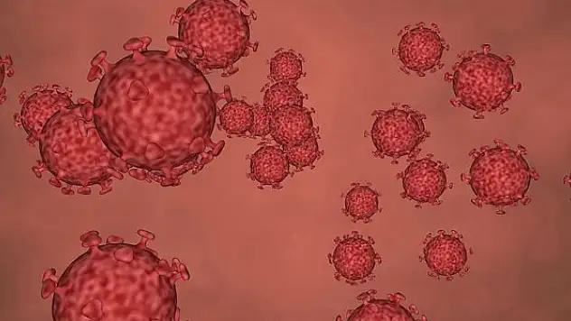 Koronavirüsün vücuda giriş kapısı bulundu