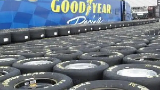 Dev firmaya dev ceza